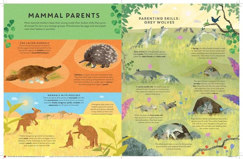 Camilla De La Bedoyere: There are Mammals Everywhere, illustrated by Britta Teckentrup