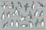 Marcus Pfister: A Penguin Like Me