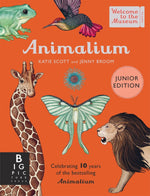 Jenny Broom: Animalium (Junior Edition), illustrated by Katie Scott