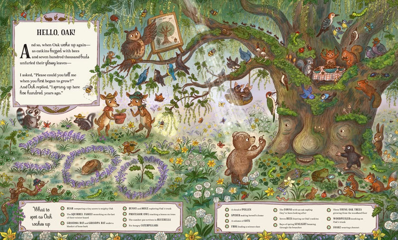 Rachel Piercey: Brown Bear Woods - Grand Old Oak and the Birthday Ball, illustrated by Freya Hartas