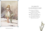 Cicely Mary Barker: Flower Fairies of the Winter
