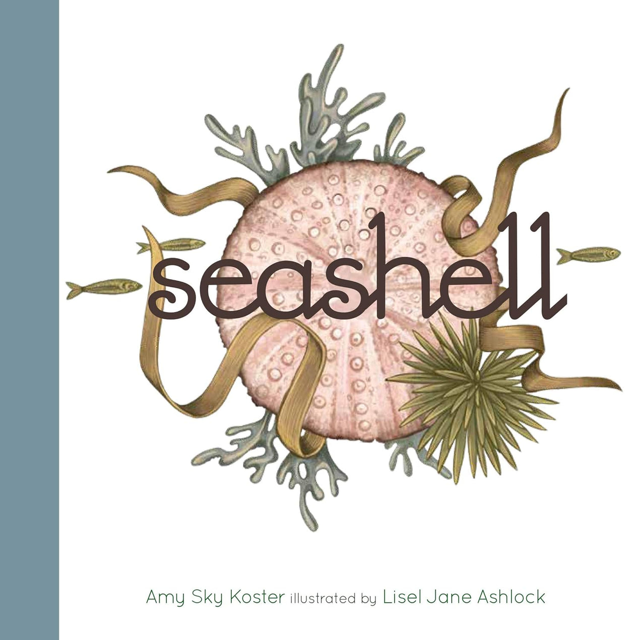 Amy Sky Koster: Seashell, illustrated by Lisel Jane Ashlock