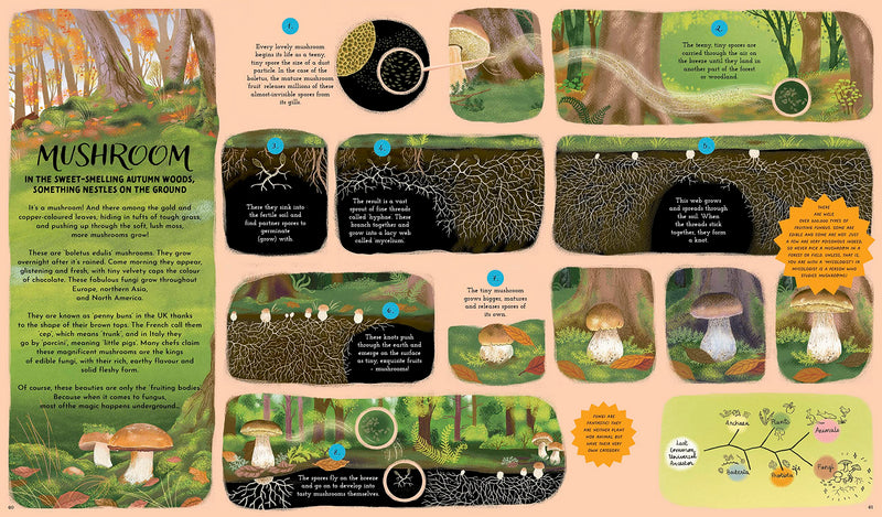 Gabby Dawnay: Round and Round Goes Mother Nature, illustrated by Margaux Samson Abadie