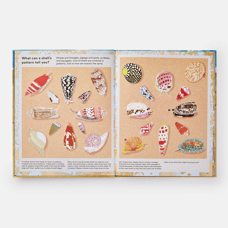 Helen Scales: What a Shell Can Tell, illustrated by Sonia Pulido