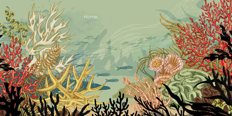 Amy Sky Koster: Coral, illustrated by Lisel Jane Ashlock
