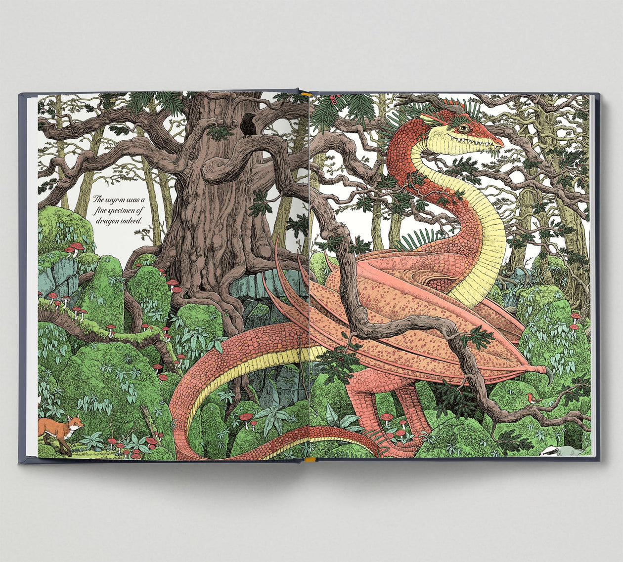 Curatoria Draconis: Dragon Lore, illustrated by Tomislav Tomic