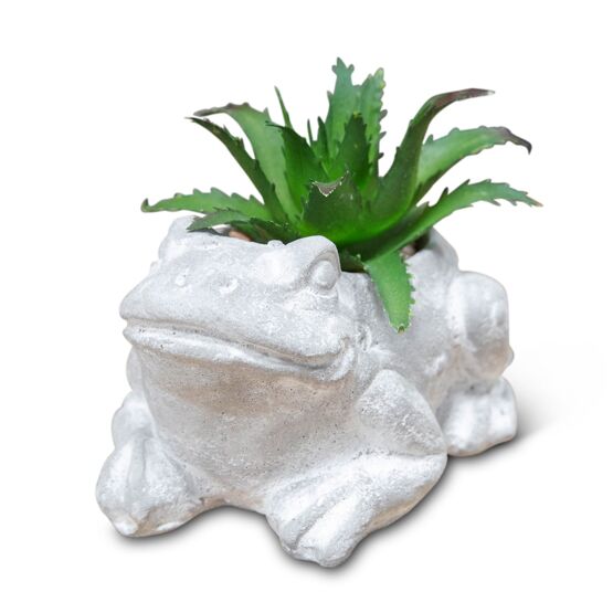 Mini Cement Effect Planter: Frog with Succulent