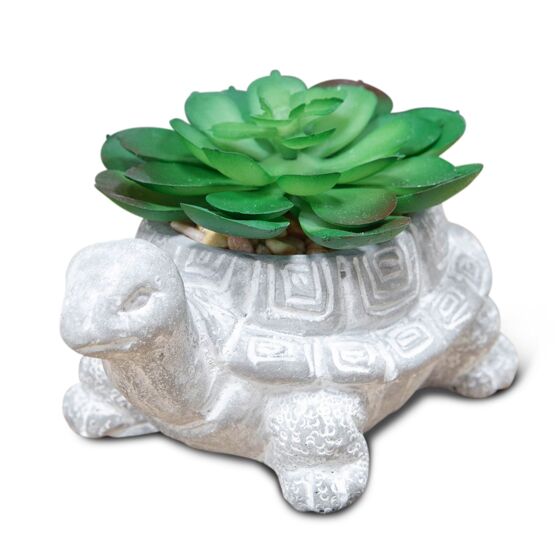Mini Cement Effect Planter: Tortoise with Succulent
