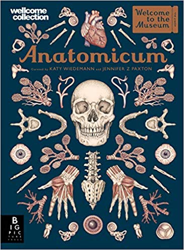 Anatomicum by Jennifer Z Paxton, illustrated by Katy Wiedemann