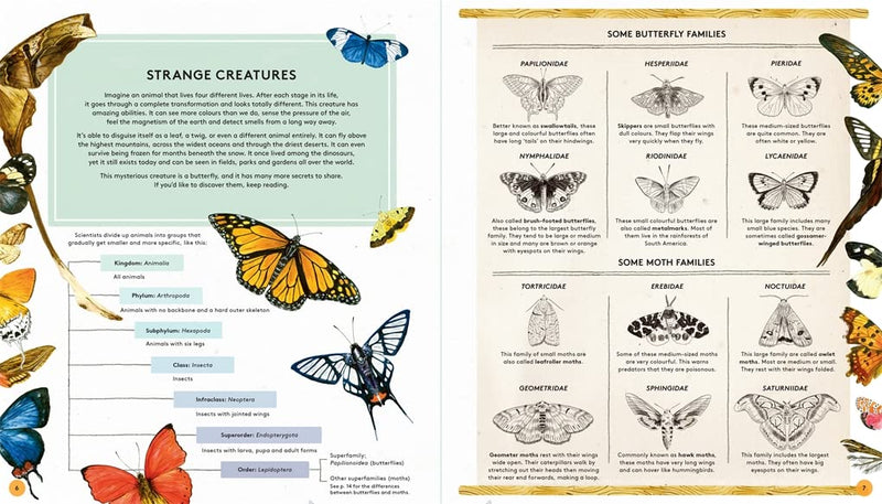 Roger Vila: The Secret Life of Butterflies, illustrated by Rena Ortega