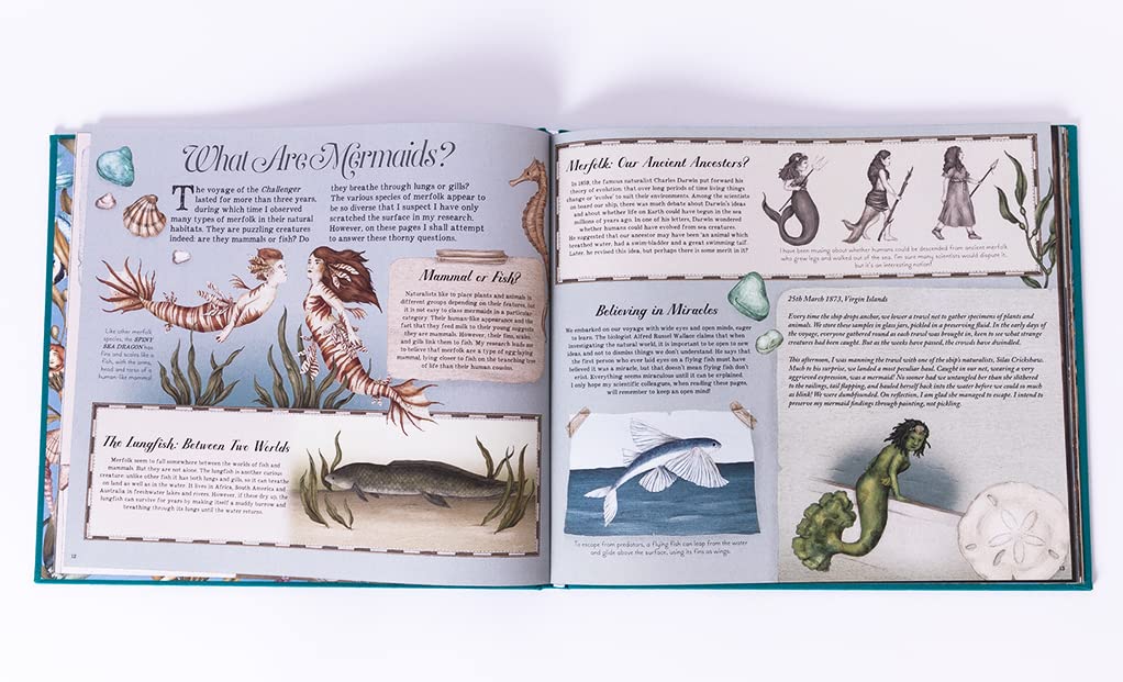 A Natural History of Mermaids by Emily Hawkins, illustrated by Jessica Roux