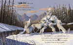 The Way Home for Wolf by Rachel Bright, illustrated by Jim Field