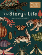The Story of Life - Evolution (Extended Edition) by Katie Scott