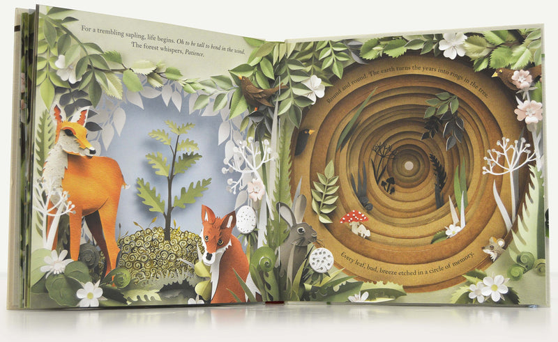 Louise Greig: A Walk Through the Woods, illustrated by Helen Musselwhite