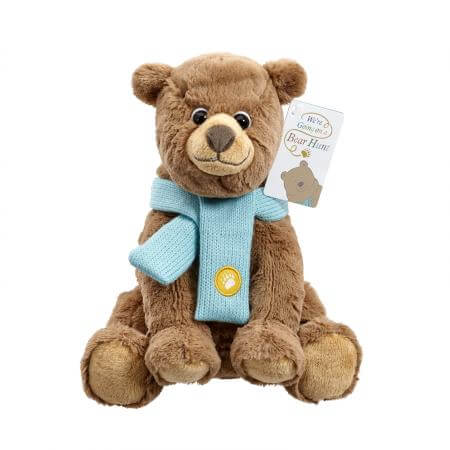 Soft Toy: Bear from 'We're Going on a Bear Hunt'
