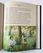 Ineke Verschuren: Illustrated Tales of Dwarfs, Gnomes and Fairy Folk, illustrated by Daniela Drescher
