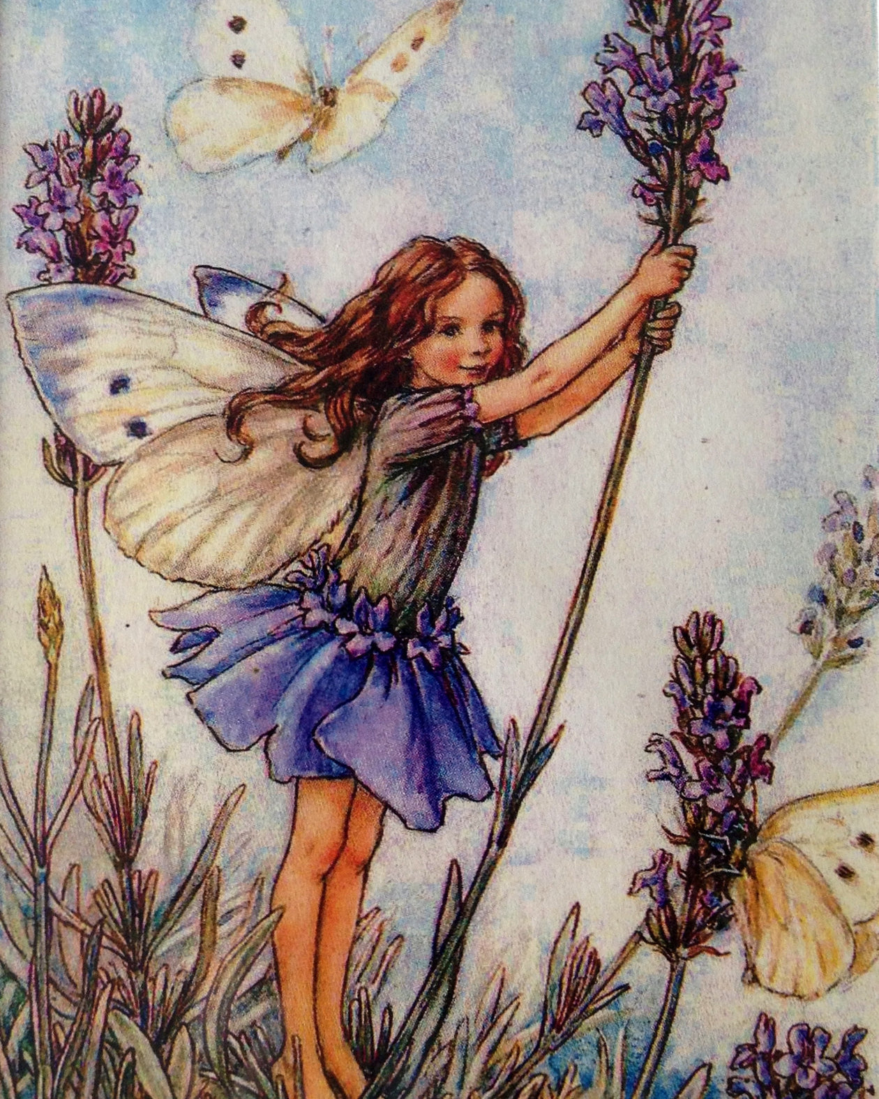 Flower Fairy Print: The Lavender Fairy