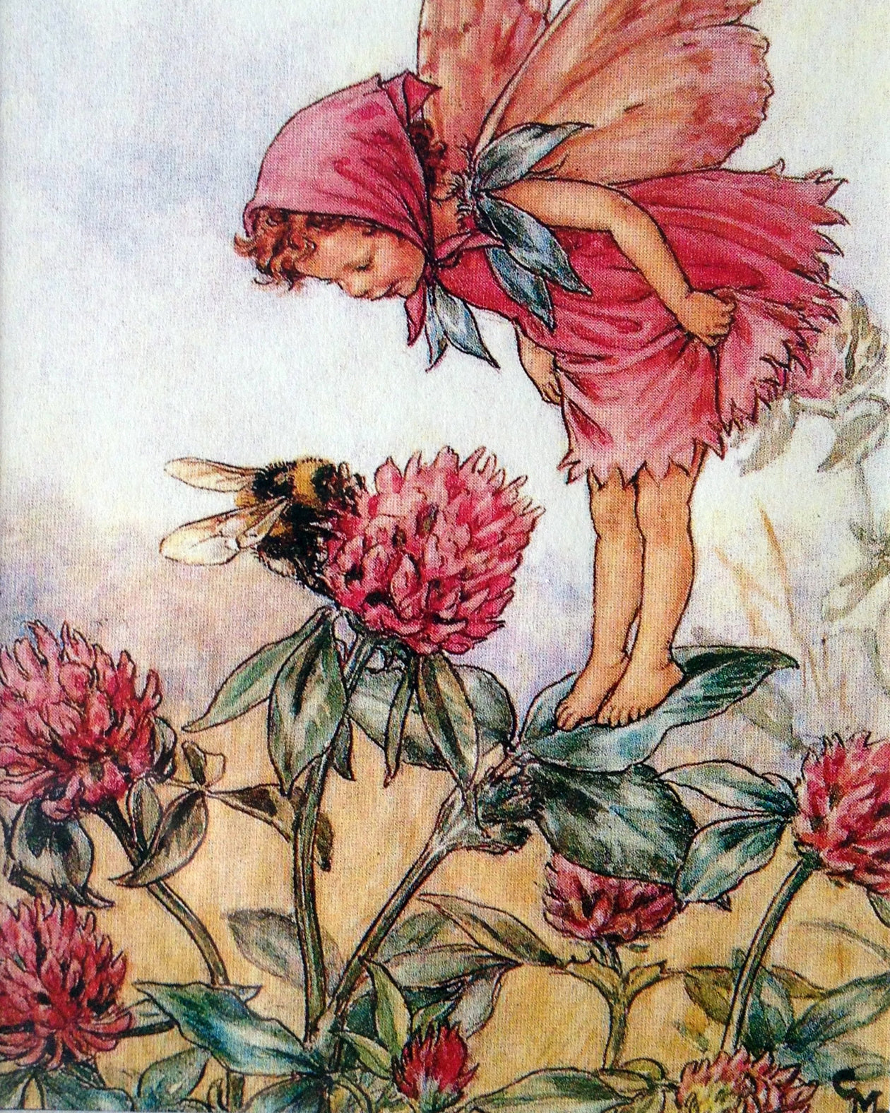 Flower Fairy Print: The Red Clover Fairy