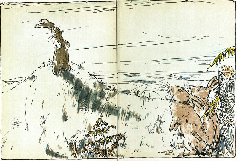 The Velveteen Rabbit by Margery Williams, illustrated by William Nicholson