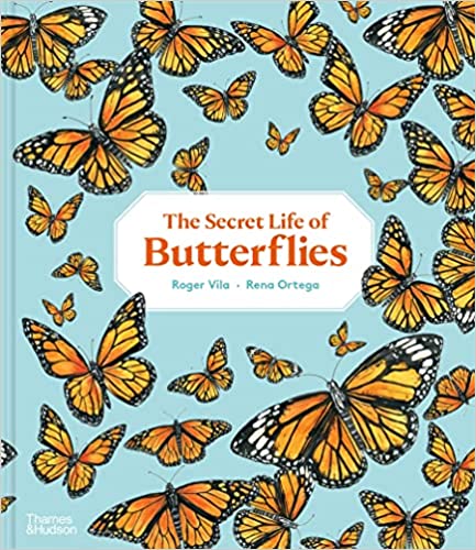 The Secret Life of Butterflies by Roger Vila, illustrated by Rena Ortega