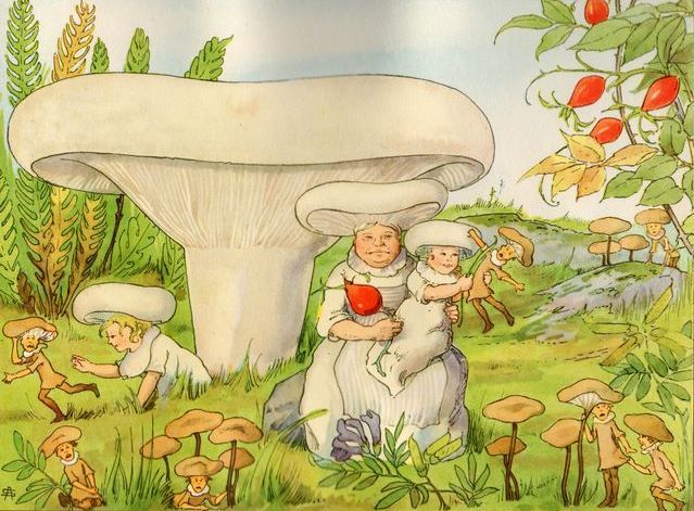 Signe Aspelin: Tales of the Mushroom Folk