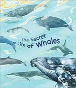 The Secret Life of Whales by Rena Ortega