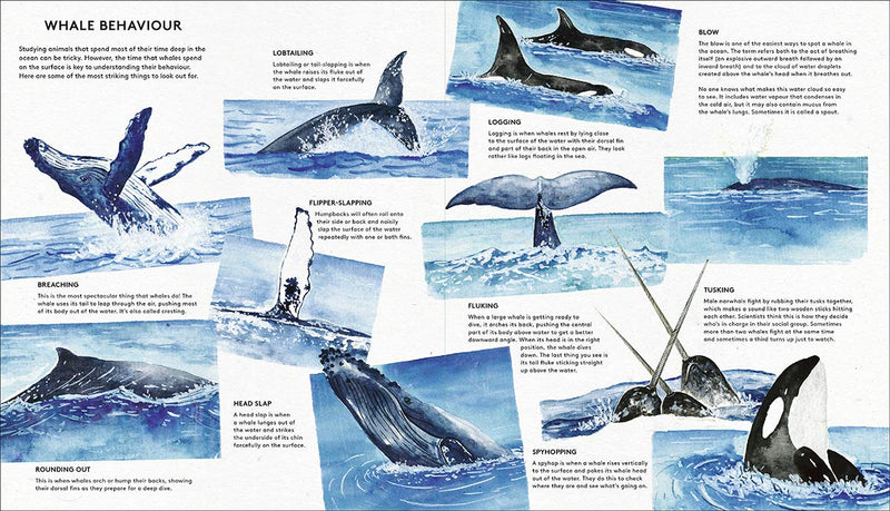 Rena Ortega: The Secret Life of Whales