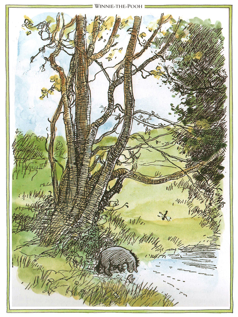 Winnie the Pooh print: Eeyore's Birthday